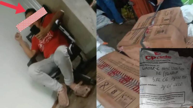 Pengusaha daging ayam beku HI dituding menghina wartawan setelah usaha ilegalnya diberitakan