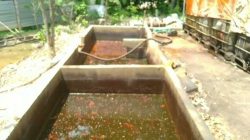 Puluhan Sumur Minyak Diduga Ilegal di Bogorejo Blora Picu Kekhawatiran Warga