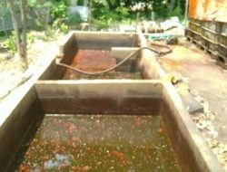 Puluhan Sumur Minyak Diduga Ilegal di Bogorejo Blora Picu Kekhawatiran Warga