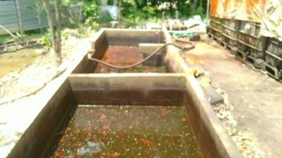 Puluhan Sumur Minyak Diduga Ilegal di Bogorejo Blora Picu Kekhawatiran Warga