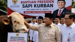 Program Kurban Prabowo Tuai Sorotan, DPR : Presiden Memang Punya Anggaran Sosial